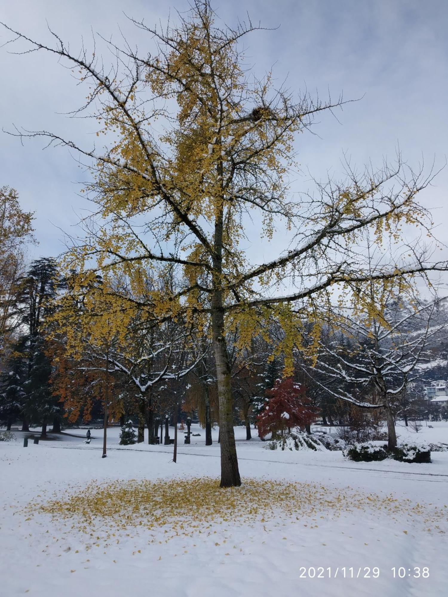 Le Balcon Du Parc, Entre Lourdes Et Gavarnie Argeles-Gazost ภายนอก รูปภาพ